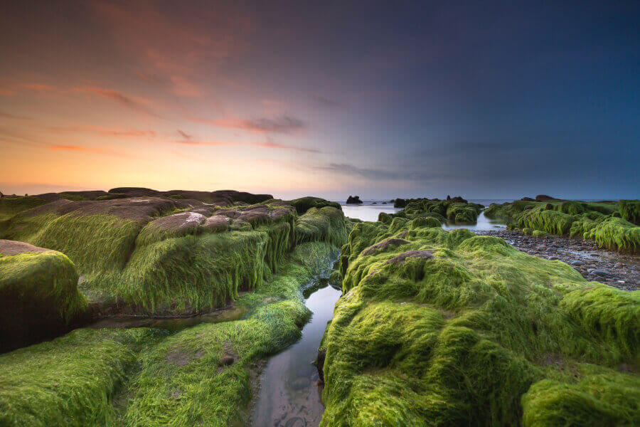 City skyline at sunset